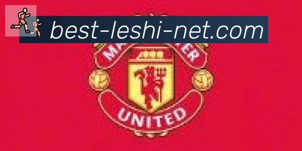乐视体育合作伙伴